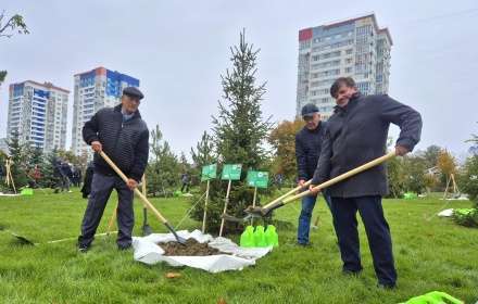 Сегодня на территории Центрального парка культуры и отдыха Волгограда прошло торжественное мероприятие «Высадка сквера промышленных династий»